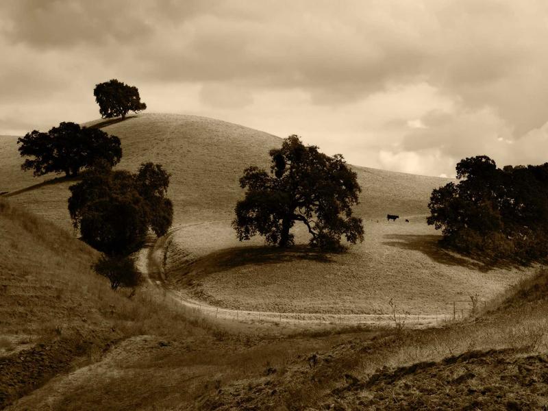 sudoku cloud sync screenshot 5